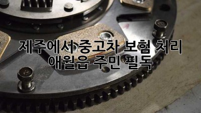 제주에서 중고차 보험 처리, 애월읍 주민 필독! 🚗💨